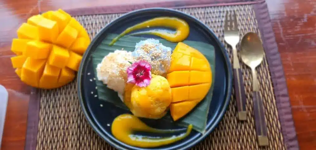 Signature Thai mango sticky rice with tri-color rice and fresh mango.